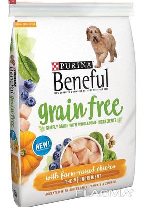 Top grade dog food canned dry available in all quantities well packaged