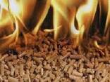 Топливные пеллеты Ø 6.0 мм (отруби пшеничные) - фото 1