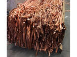 Traders of Fresh Garlic Copper Wire Scrap Suppliers, Manufacturers, Exporters for Buying T - фото 2