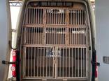 Transportation of pets - фото 1