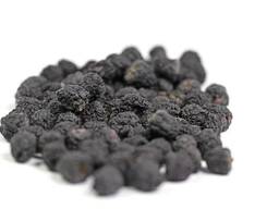 Verkauf von Aronia in großen Mengen vom Hersteller zu den besten Preisen