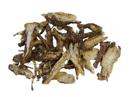 Verkauf von Kleine Bibernelle in großen Mengen vom Hersteller zu den besten Preisen