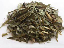 Verkauf von Maiglöckchen in großen Mengen vom Hersteller zu den besten Preisen