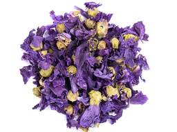 Verkauf von Sumpfmalve in großen Mengen vom Hersteller zu den besten Preisen