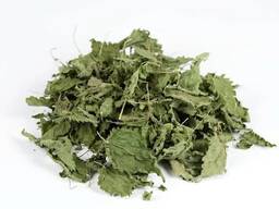 Verkauf von Taubnessel in großen Mengen vom Hersteller zu den besten Preisen