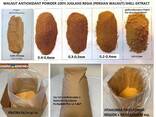Walnut shell micro powder for eco-leather and vegan leather productionf - фото 1
