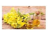 Wholesale Price Refined Rapeseed Oil / Canola Cooking Oil Bulk Stock Available For Sale - фото 2