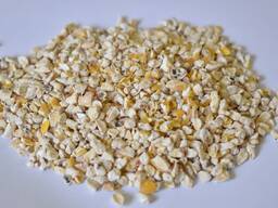 Wir verkaufen Maiskeime