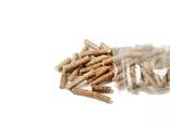 Wood pellet
