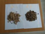 Wood Pellets - фото 1