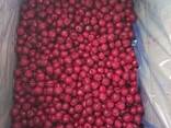 Замороженная малина, вишня - фото 2