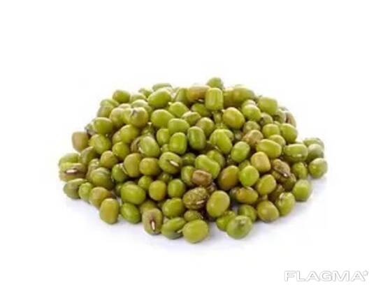 Green Mung bean from Uzbekistan
