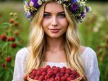 Zusammenarbeit bei der Lieferung von gefrorenen Beeren aus Weißrussland für die Saison 25 - фото 1