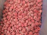 Zusammenarbeit bei der Lieferung von gefrorenen Beeren aus Weißrussland für die Saison 25 - фото 5